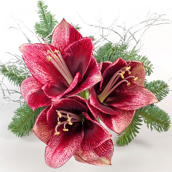 Papierservietten Christmas Rose 20 Stück