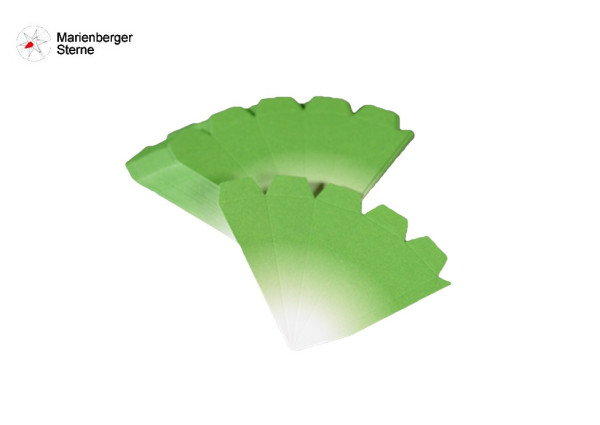 Marienberger Sterne Selbstbausatz 3er Set Grün-Weiß, 3 Sterne 16 cm ohne Beleuchungsset & Netzgerät